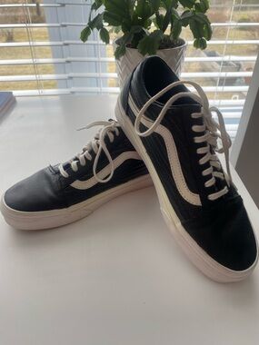 Vans Black Leather Low-Top Sneakers with White Stripe